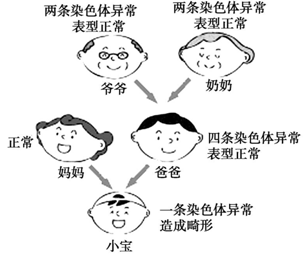 染色体缺失有什么影响？能做试管婴儿吗？