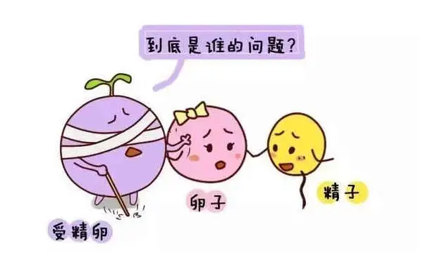 哪家的助孕机构好：女性30岁生育算高龄产妇吗？